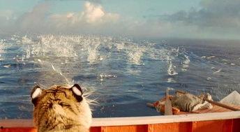 少年派漂流记在线观看,一场跨越生死的海洋之旅 第3张 少年派漂流记在线观看,一场跨越生死的海洋之旅 第3张